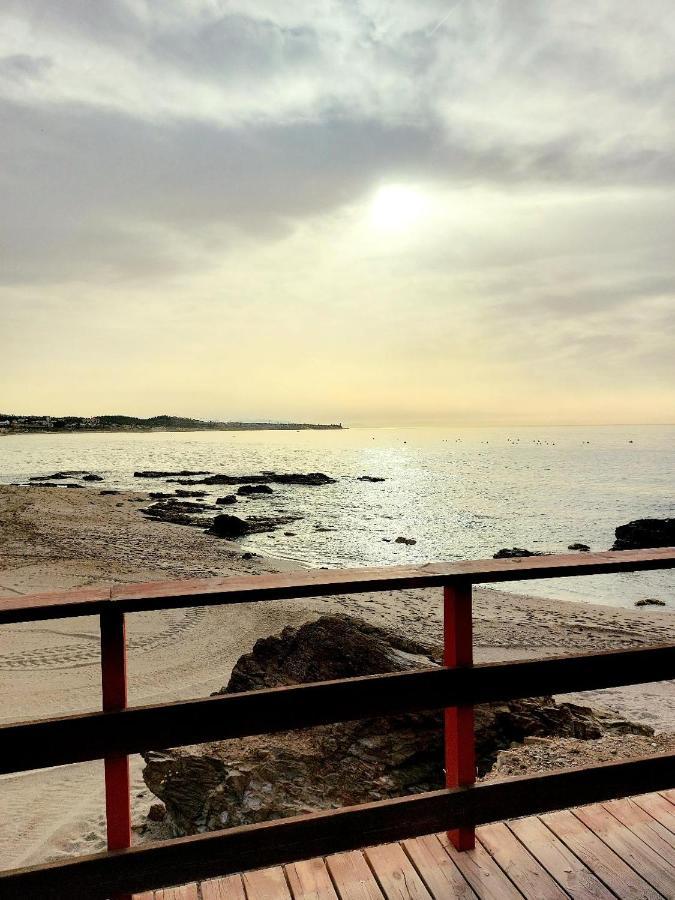 Coral La Cala *